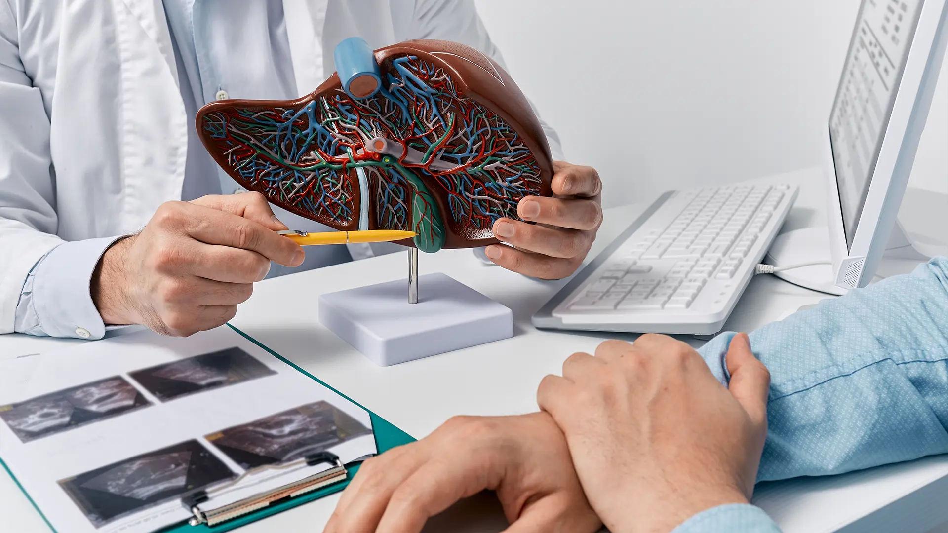 Ghidul pacienţilor cu afecţiuni hepatice: Ce este ficatul și cum se dezvoltă afecţiunile hepatice?