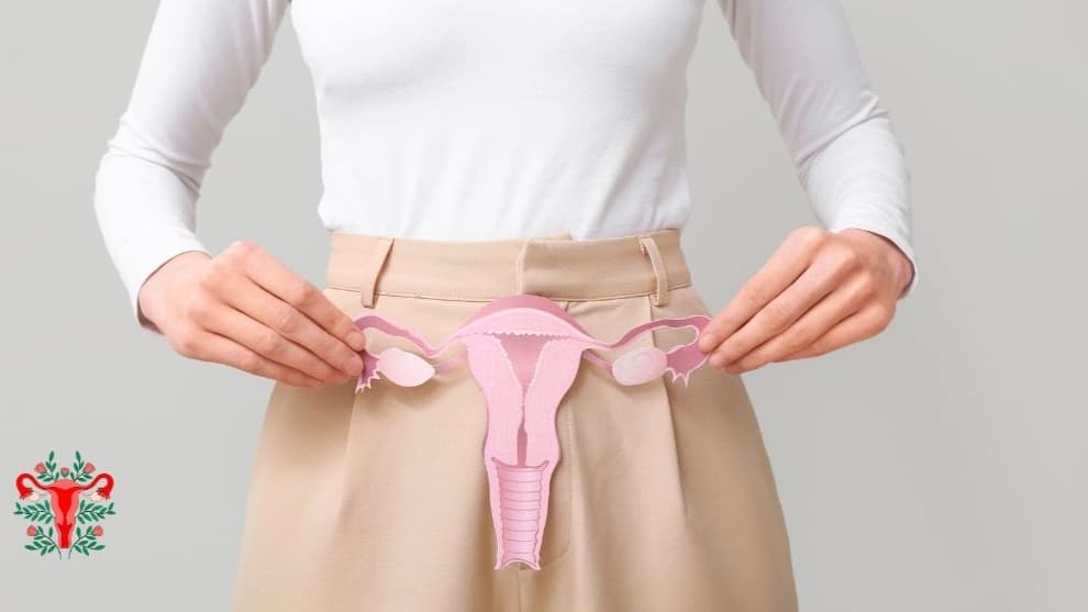Malformațiile uterine: cât de frecvente sunt, cum se diagnostichează și ce soluții există